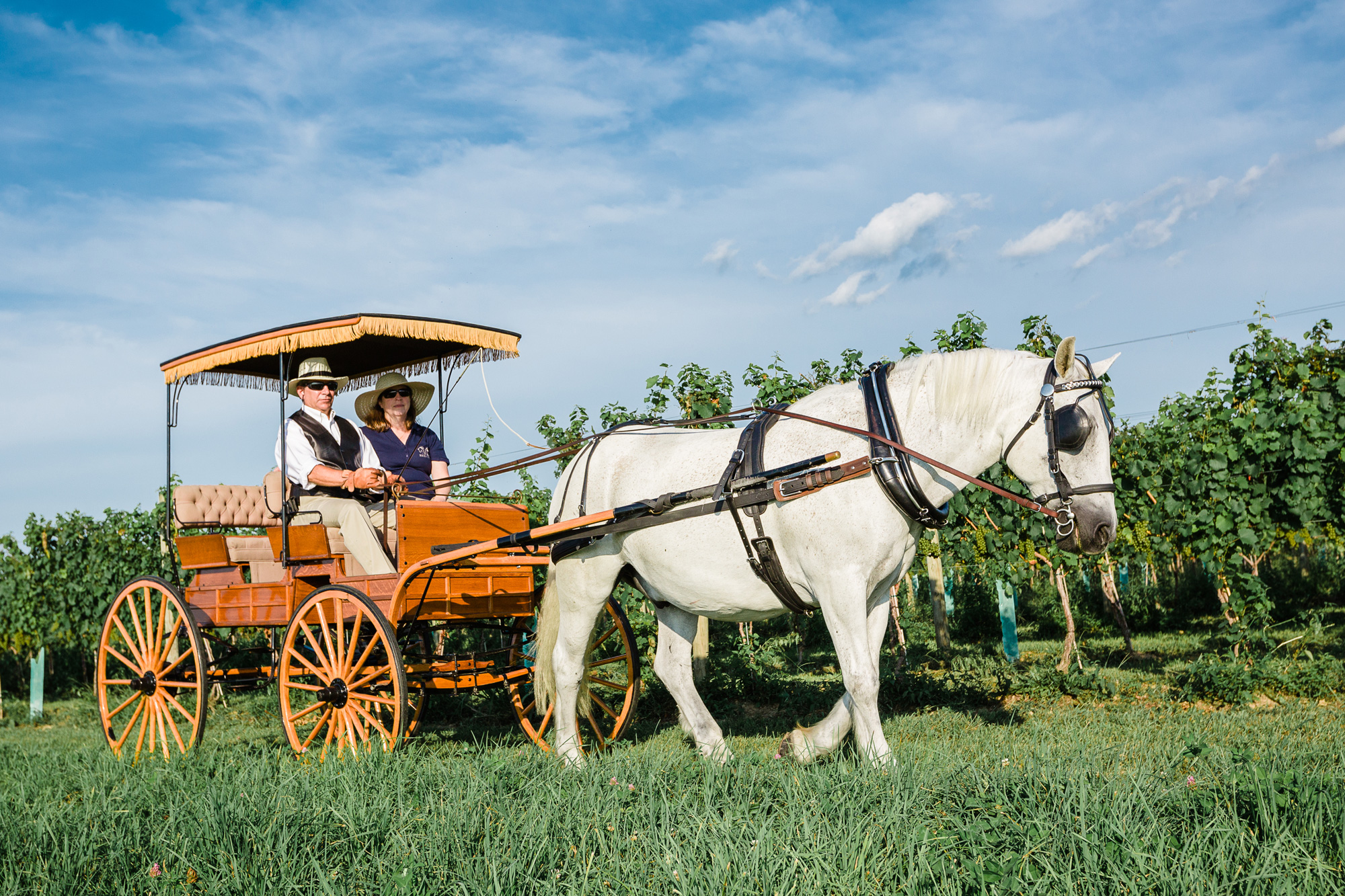 Crow Vineyard Walk